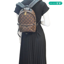 Load image into Gallery viewer, LOUIS VUITTON Palm Springs PM Monogram Canvas Backpack Brown