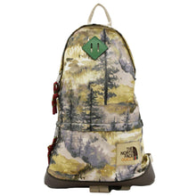 Load image into Gallery viewer, GUCCI x The North Face Mountain Print Nylon front look