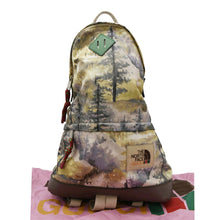 Load image into Gallery viewer, GUCCI x The North Face Mountain Print Nylon front side look