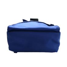 Load image into Gallery viewer, FENDI Cloth Backpack Bag Blue