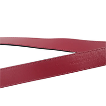 Load image into Gallery viewer, LOUIS VUITTON Mongoram Canvas Satchel Bag Brown