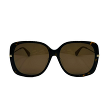 Load image into Gallery viewer, Gucci Logo Acetate Sunglasses Brown