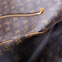 Load image into Gallery viewer, Louis Vuitton Delightful GM Canvas Tote Bag Brown
