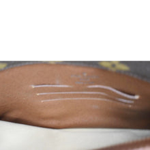 Load image into Gallery viewer, LOUIS VUITTON Sofia Coppola Monogram Canvas Clutch Brown

