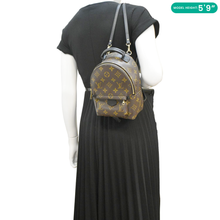 Load image into Gallery viewer, LOUIS VUITTON Palm Springs Mini Monogram Canvas Backpack Brown dummy look

