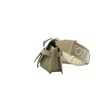 Load image into Gallery viewer, Loewe Gate Grained Calfskin Crossbody Bag Light Green
