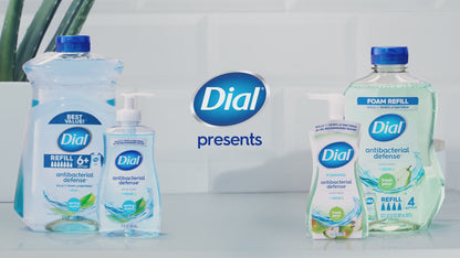 Dial Antibacterial Defense Pomegranate & Tangerine Liquid Hand Soap, 11 fl oz